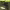 https://res.cloudinary.com/billionhands/image/upload/v1775564726/items/ahnpberjwo6hfzwiztur.webp-2cover