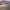 https://res.cloudinary.com/billionhands/image/upload/v1775564728/items/s32tzl3uqzpxhcu5s3za.jpg-3cover