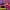https://res.cloudinary.com/billionhands/image/upload/v1775564839/items/tkt0srgfkun1nmrulcik.jpg-3cover