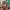 https://res.cloudinary.com/billionhands/image/upload/v1775564841/items/ay3c4iuwfmitdbjgcbmi.jpg-1cover