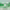 https://res.cloudinary.com/billionhands/image/upload/v1775564843/items/ieqedr2x16gultlk1fhy.jpg-3cover
