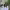 https://res.cloudinary.com/billionhands/image/upload/v1775565120/items/mv3njcidqnqkdh3kpfsy.avif-0cover