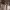 https://res.cloudinary.com/billionhands/image/upload/v1775565152/items/ggxiler3fh5kubuukskq.jpg-2cover