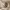 https://res.cloudinary.com/billionhands/image/upload/v1775565153/items/b5dtzkv2bruohx2yyjqd.webp-0cover