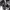 https://res.cloudinary.com/billionhands/image/upload/v1775565190/items/u2lc0pphh02kbpiqzh84.jpg-1cover