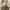 https://res.cloudinary.com/billionhands/image/upload/v1775565194/items/pskf1uzotkjw2wdfknif.jpg-1cover