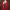 https://res.cloudinary.com/billionhands/image/upload/v1775565199/items/gbixndonylyf3tueu7rw.jpg-3cover