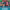 https://res.cloudinary.com/billionhands/image/upload/v1775565243/items/i2a8bdxvgptowdqgzhjq.jpg-2cover