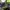 https://res.cloudinary.com/billionhands/image/upload/v1775565390/items/o28qgfztoqnsmihhy9os.jpg-2cover
