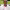 https://res.cloudinary.com/billionhands/image/upload/v1775565491/items/grfiskgneegkgfthzv3p.webp-0cover