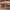 https://res.cloudinary.com/billionhands/image/upload/v1775565584/items/nqum1fddxn2euygg7amy.jpg-1cover