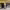 https://res.cloudinary.com/billionhands/image/upload/v1775565589/items/flglgyqzfsedprfjfeof.jpg-1cover