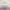 https://res.cloudinary.com/billionhands/image/upload/v1775565673/items/puly4vjah0fa6ich0cci.jpg-2cover