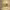 https://res.cloudinary.com/billionhands/image/upload/v1775565728/items/aun6f0htepfo2xy18iny.jpg-1cover