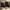 https://res.cloudinary.com/billionhands/image/upload/v1775565730/items/l1otglhk6poyt13lrf9g.jpg-3cover