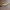 https://res.cloudinary.com/billionhands/image/upload/v1775565779/items/u1dlpkb5y86hvxfe6jls.jpg-0cover