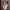 https://res.cloudinary.com/billionhands/image/upload/v1775565781/items/p8adskgbpl8ulstehpk3.jpg-2cover