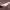 https://res.cloudinary.com/billionhands/image/upload/v1775565782/items/hwg8shwje2i81bxtfebt.webp-0cover