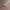 https://res.cloudinary.com/billionhands/image/upload/v1775565782/items/pp3b1szv8qi0bbk9qmzb.jpg-2cover