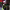 https://res.cloudinary.com/billionhands/image/upload/v1775565787/items/zh4i8vznfagizkwharpk.png-0cover