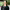https://res.cloudinary.com/billionhands/image/upload/v1775565801/items/kmmqmxode0f02tgz9iik.jpg-2cover
