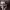 https://res.cloudinary.com/billionhands/image/upload/v1775566050/items/pmlhsh5ndd2ko6aqisex.jpg-2cover