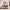 https://res.cloudinary.com/billionhands/image/upload/v1775566198/items/n5xa4blrhe8laqc5v9fi.png-0cover