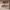 https://res.cloudinary.com/billionhands/image/upload/v1775566201/items/d1fpcisbyd6j4evivsa3.jpg-0cover
