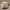 https://res.cloudinary.com/billionhands/image/upload/v1775566201/items/ohakwalwqez35yqmy5ts.jpg-2cover
