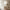 https://res.cloudinary.com/billionhands/image/upload/v1775566209/items/kw5zo7hlyi280i5oy1xx.jpg-2cover