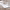 https://res.cloudinary.com/billionhands/image/upload/v1775566273/items/debvvkgctz9pctdk8jkx.webp-0cover