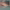 https://res.cloudinary.com/billionhands/image/upload/v1775566441/items/gvvmugobllcbuson5pm6.jpg-2cover