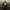https://res.cloudinary.com/billionhands/image/upload/v1775566496/items/zfecicfv2zgletbhbsoh.webp-1cover