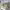https://res.cloudinary.com/billionhands/image/upload/v1775566968/items/zdosmbyq6ygdkucyshab.webp-2cover