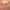 https://res.cloudinary.com/billionhands/image/upload/v1775567095/items/owqqd5ztmlwkdyvtnj3a.jpg-1cover