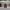 https://res.cloudinary.com/billionhands/image/upload/v1775567224/items/ftfilerfnnmfnpazvccf.webp-3cover