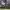 https://res.cloudinary.com/billionhands/image/upload/v1775567252/items/engitxerup9e4zpp3f65.jpg-0cover
