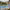 https://res.cloudinary.com/billionhands/image/upload/v1775567265/items/cxdyp0oit5795dvmbcth.jpg-0cover