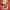https://res.cloudinary.com/billionhands/image/upload/v1775567275/items/bgsrathvtie0x3y01ygs.jpg-0cover