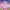 Weverse Con Festival 2026 (South Korea) cover