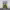 https://res.cloudinary.com/billionhands/image/upload/v1775567628/items/d4wp2pxh88usgktnnrp4.jpg-0cover