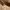 https://res.cloudinary.com/billionhands/image/upload/v1775567628/items/h4lgvdydpvmu4w0cp4ow.jpg-3cover