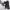 https://res.cloudinary.com/billionhands/image/upload/v1775568031/items/je7pcvx3cxyzaubei3yb.webp-3cover