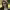 https://res.cloudinary.com/billionhands/image/upload/v1775568086/items/vsnjiwzq59k6yk8ytjiw.webp-0cover