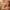 https://res.cloudinary.com/billionhands/image/upload/v1775568175/items/yp06yxyqa1szagopdp60.jpg-0cover