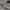 https://res.cloudinary.com/billionhands/image/upload/v1775568246/items/xjptdh9jhzqxeamcptrj.jpg-2cover