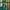 https://res.cloudinary.com/billionhands/image/upload/v1775568374/items/fvtqoryeayl73ga6hjkw.jpg-1cover