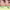 https://res.cloudinary.com/billionhands/image/upload/v1775568493/items/dn9tl73qkmpkw5cjm0j3.avif-0cover