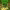 https://res.cloudinary.com/billionhands/image/upload/v1775568544/items/ljozhvvdrvnksmsl1xyn.jpg-0cover