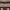 https://res.cloudinary.com/billionhands/image/upload/v1775570799/items/gimrjelnbx07xbltukvf.jpg-3cover